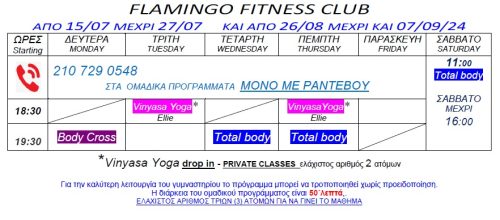 Summer Group classes  & Vinyasa Yoga drop in time table